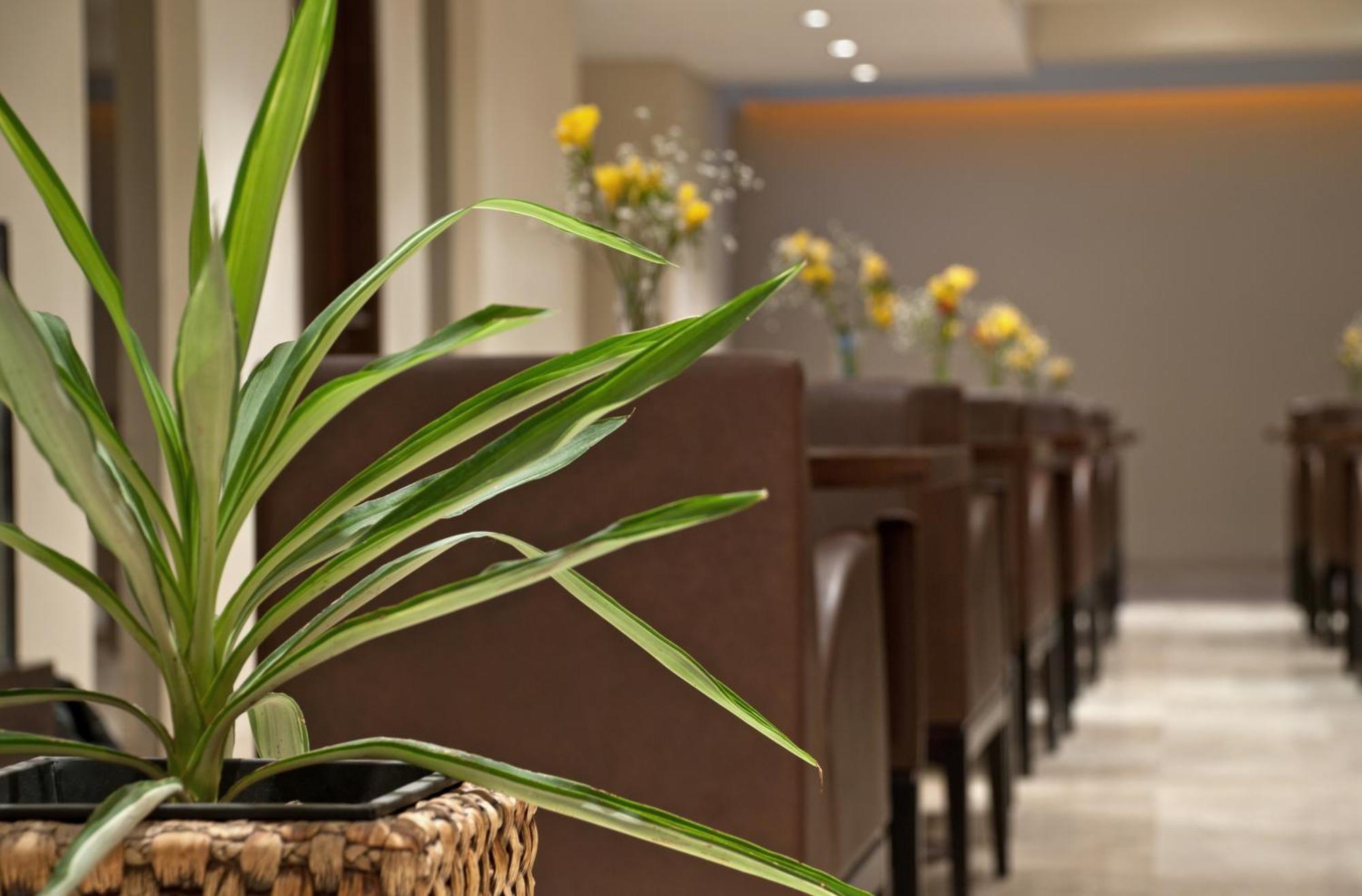 Hotel Punta Del Este Μαρ ντελ Πλάτα Εξωτερικό φωτογραφία